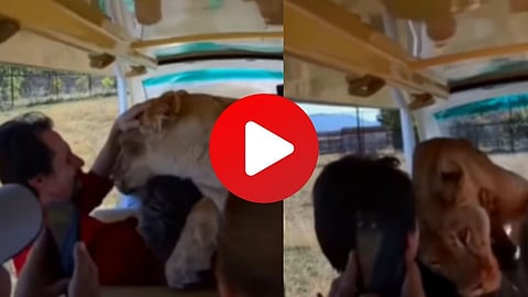 Viral Video