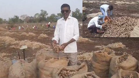 Farmer Success Story