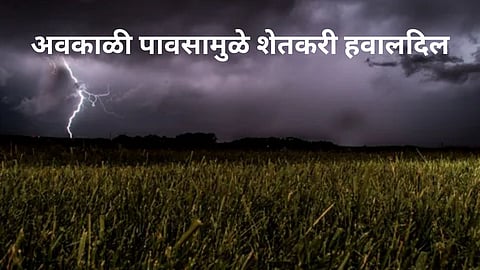 Jalgaon News