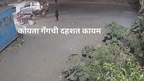 Pune Crime