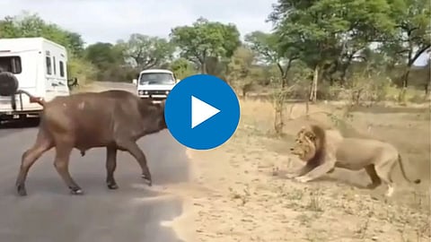 Viral Video
