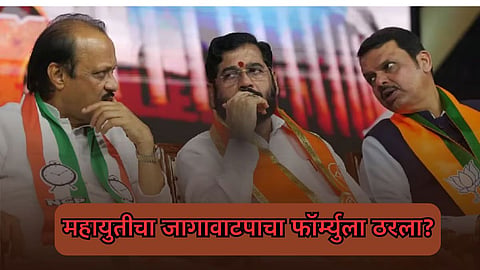 Mahayuti Politics