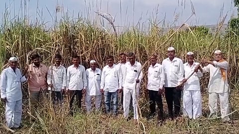 farmers demands sugarcane cutting to sant tukaram sahakari sakhar karkhana