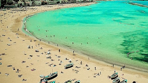 Canary Islands 