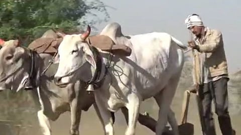 Amravati News