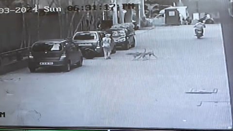 CCTV Footage