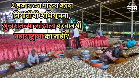 गुजरातला 2 हजार टन पांढरा कांदा निर्यातीची परवानगी, महाराष्ट्राला का नाही? केंद्राला शेतकऱ्यांचा संतप्त सवाल 