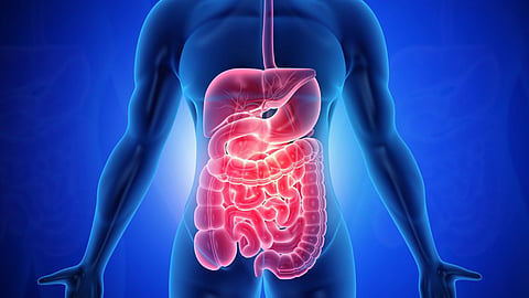 Gastrointestinal Disease, Gastrointestinal Causes