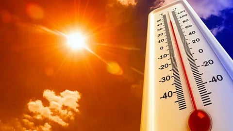 Heat Wave In Maharashtra 
