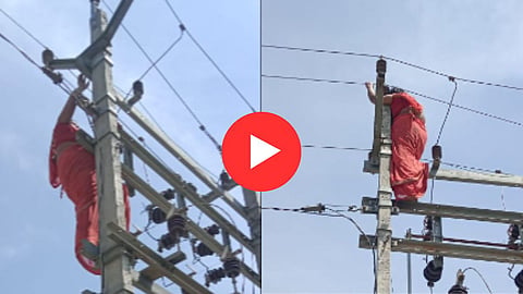 Women Climb Electric Pole Viral Video: 