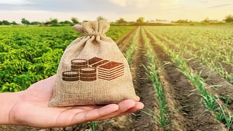 Crop Loan