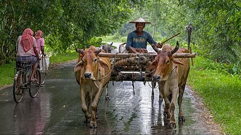 Monsoon 2024 Update: मान्सून २४ तासांत केरळमध्ये दाखल होणार, महाराष्ट्रात कधी येणार?