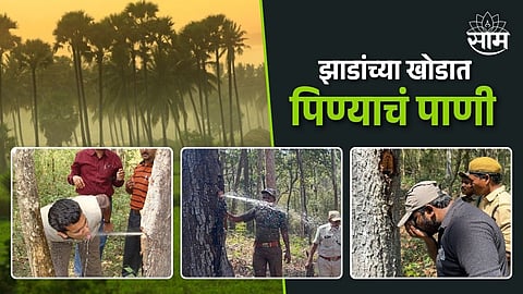 Andhra Pradesh Tourism Water Wild Tree Forest 