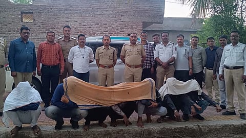 Akola News: दरोड्याचा प्लान फसला, नाकाबंदीदरम्यान पोलिसांनी आवळल्या सराईत गुन्हेगारांच्या मुसक्या  