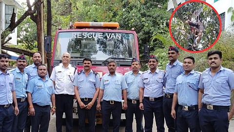 व्यक्ती झाडावर अडकला 