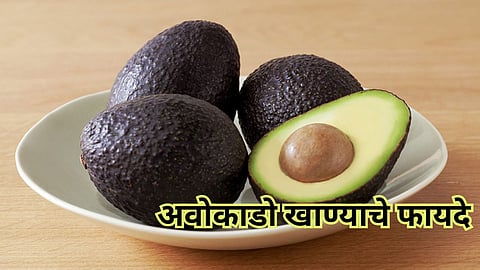 Benefits Of Avocado Fruit 