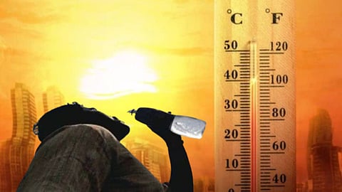  लोकसभा निवडणूक ड्युटीसाठी आलेल्या ९ कर्मचाऱ्यांच्या मृत्यू; अनेकांची प्रकृती गंभीर, परिसरात खळबळ 