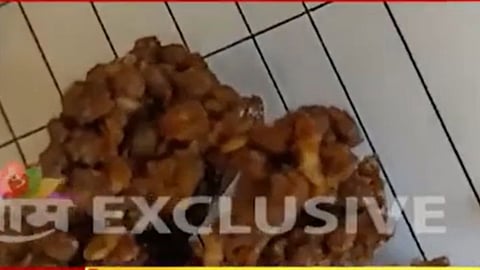 Zila Parishad School: यॅक यॅक! शाळेतील पोषण आहाराच्या चॉकलेटमध्ये अळ्या; यवतमाळमधील धक्कादायक घटना 