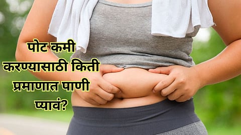 Belly Fat 