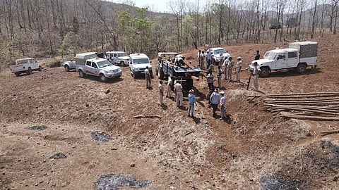Nandurbar Crime: पुष्पा स्टाईलने सागवान लाकडाची तस्करी; जमिनीत पुरली ११ लाख रुपयांची लाकडं 