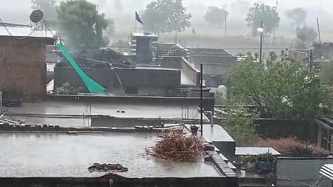 Akola Weather News: अकोल्यात पुन्हा अवकाळी; फळबागा झाल्या उध्वस्त