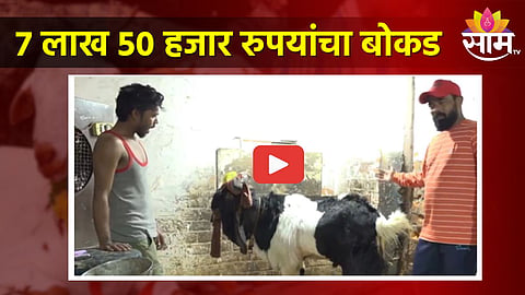 Goat Sold 7,50,000