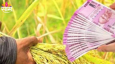 Crop Loan