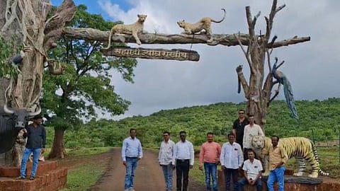 Chandoli National Park: सांगलीचं राष्ट्रीय उद्यान पर्यटनासाठी बंद; कारण काय? परत केव्हा सुरु होणार