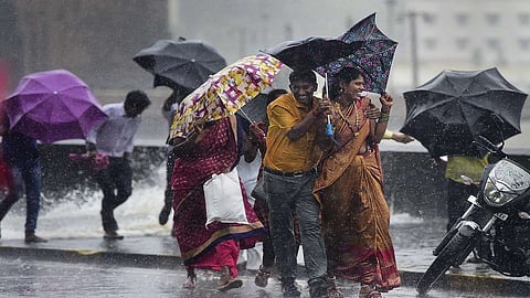 Maharashtra Rain: पुढील ४८ तासात राज्यातील अनेक जिल्ह्यात मुसळधार पावसाची शक्यता; ५ जिल्ह्यांना यलो अलर्ट 