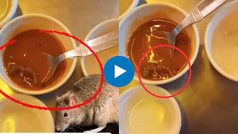 Shocking Viral Video