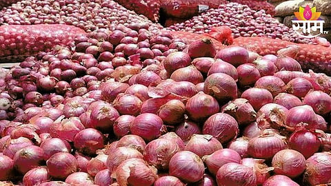 Onion 