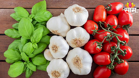 garlic tomato vegetables price hike in maharashtra