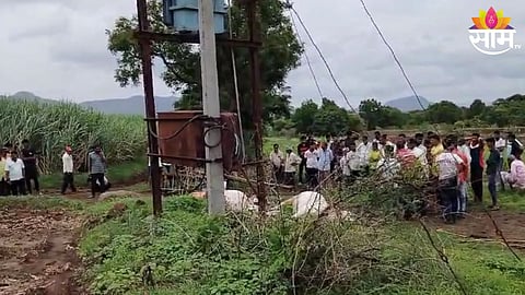 two bulls passed away three farmers injured due to electric shock 