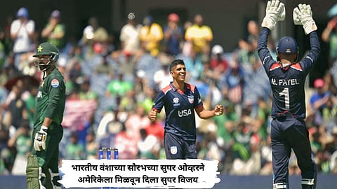 T20 World Cup