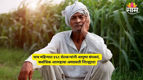 Maharashtra Farmers Death: नापीक जमीन, अवकाळीचे संकट अन् डोक्यावर कर्जाचा डोंगर, पश्चिम विदर्भात पाच महिन्यात ४६१ शेतकऱ्यांनी आयुष्य संपवलं 