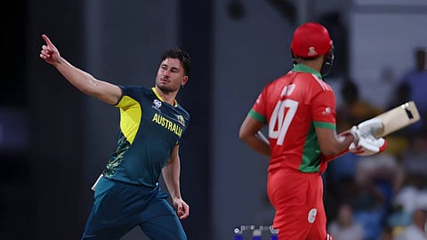 Australia vs Oman, Highlights:  स्टोइनिसची ऑलराऊंड कामगिरी! ओमानला नमवत ऑस्ट्रेलियाची विजयी सलामी