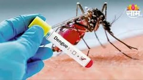 dengue and chikungunya outbreak in buldhana