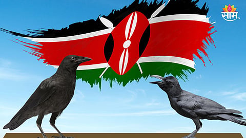 Indian Crow News