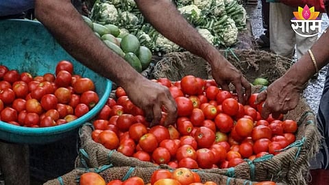 Tomato Price