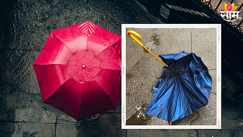 Broken Umbrella Tips 