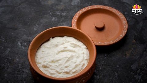 पावसाळ्यात दही खाणं योग्य की अयोग्य? 