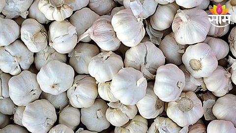 Garlic Price Hike 