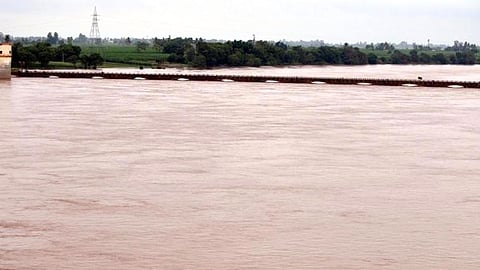 Sangli Flood News