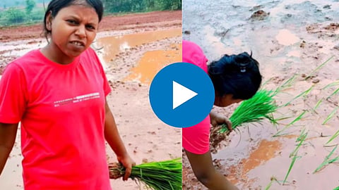 Recruitment In Farm Video Viral