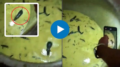 Shocking Viral Video