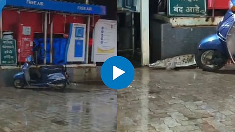Shocking Video