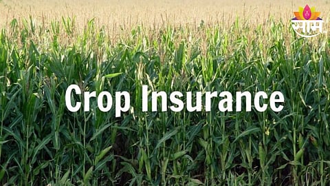 Crop Insurance