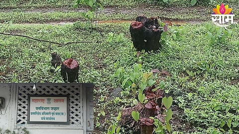 Palghar News