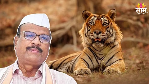 'बिबट्या राष्ट्रीय प्राणी', व्याघ्र दिनालाच अब्दुल सत्तार यांचं अजब वक्तव्य; पाहा व्हिडिओ