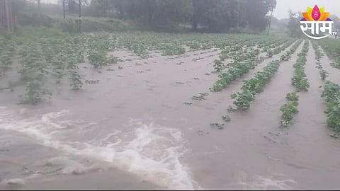 Navapur Heavy Rain